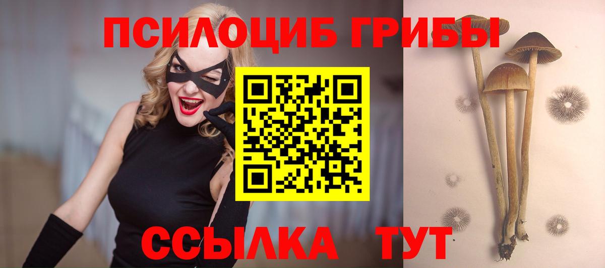 Псилоцибиновые грибы ЛСД  Вход с VPN  Красноармейск 