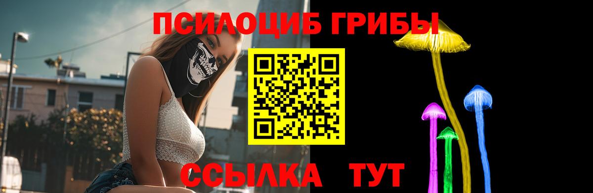 Галлюциногенные грибы мухоморы Красноармейск